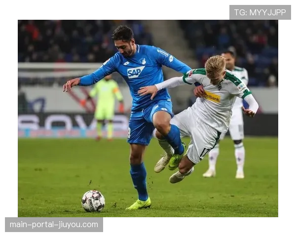 数据解读：为何霍芬海姆成为本赛季德甲“平局大师”